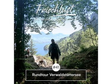 Wanderer mit Hund auf Waldweg mit Blick auf Vierwaldstättersee. Text 'Fussohrlust #41 Rundtour Verwaldstättersee' umrahmt von Bäumen.