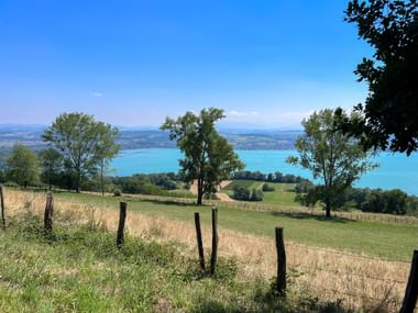 Blick auf den Murtensee mit grünen Wiesen im Vordergrund
