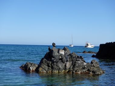 Schroffe Felsen vor der Küste Cerbères.