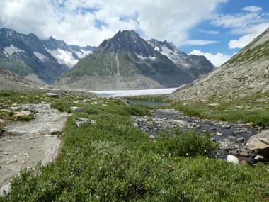 Ausblick von der Gletschstube am Märjelensee. Alpenlandschaft mit dem Aletschgletscher zwischen schneebedeckten Gipfeln und einem Bergbach durch grüne Vegetation im Vordergrund.