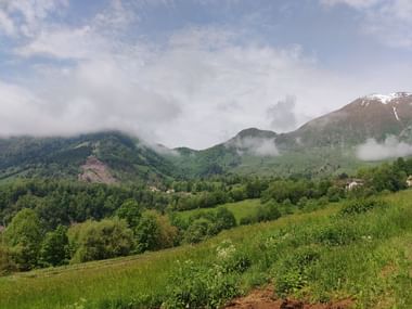 Blick über Wiesen, Bäume und Berge in Slowenien.