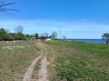 Feldweg durch grüne Wiese zu kleinem weißen Haus mit rotem Schuppen nahe der Ostseeküste unter klarem blauen Himmel.