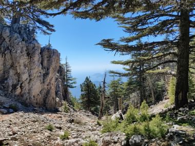 Blick zwischen Bäumen und Felsen hindurch auf das Meer und Berginseln