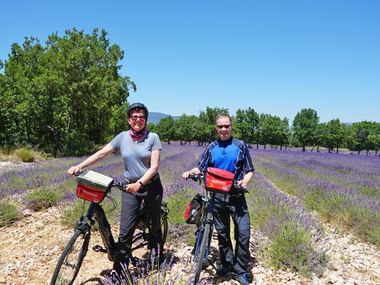 Reisebericht Radreisen Provence