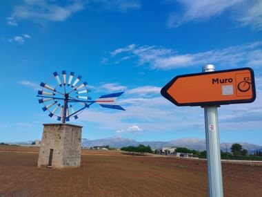 Oranger Wegweiser und Windmühle auf einem Feld im Mallorca.