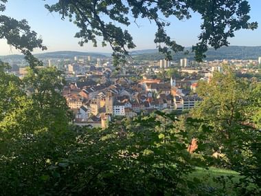 Erhöhter Blick auf eine Schweizer Stadt durch Äste, mit historischen Gebäuden, Kirchtürmen und modernen Bauten im Tal.