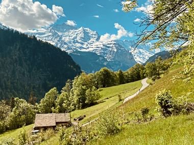 Ein kleines Bauernhaus befindet sich an einem grünen Hang mit Blick auf die Jungfrau im Berner Oberland.