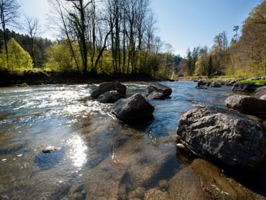 Steiniger Fluss in Schweizer Parklandschaft Klarer Bergfluss fließt zwischen großen Felsbrocken, umgeben von Frühlingswald mit kahlen und knospenden Bäumen unter blauem Himmel.