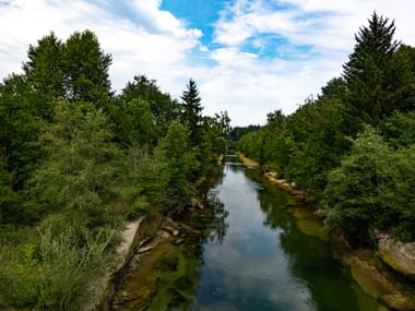 Flusslauf umgeben von Bäumen