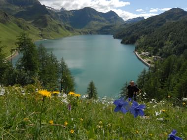 Dr Blick von einer blühenden Wiese auf den See und die Berge am Lago Ritom.