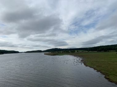 Ruhige Wasserbucht mit grünem Ufer und bewaldeten Hügeln unter bewölktem Himmel. Vogelschwarm am Ufer bei Trosa, Schweden.