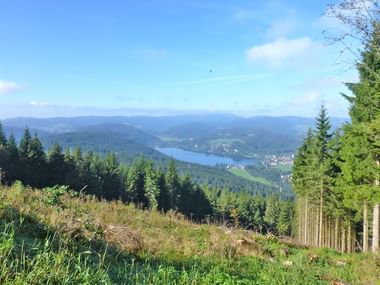 Schöner Seeblick im Schwarzwald