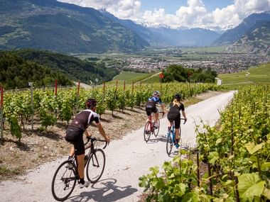 Radtour zwischen Weinreben mit Ausblick im Wallis