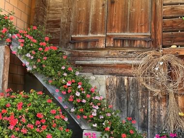Traditionelles Holzbauernhaus in Diemtigen mit verwitterten Fensterläden und bunten Geranien in Blumenkästen und Körben.