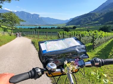 Apfelhaine in Südtirol