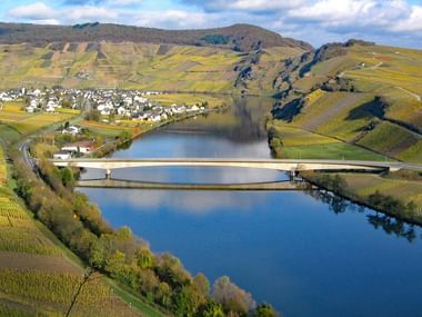 Ausblick auf die Mosel in Piesport