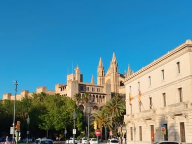 Sandfarbige Kathedrale La Seu in Palma de Mallorca. Umgeben von Bäumen, Palmen und einer Strasse.