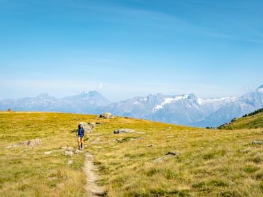 Einzelner Wanderer mit Rucksack auf Wanderweg über goldenes Hochplateau bei Stalden-Saas Fee, mit schneebedeckten Berggipfeln im Hintergrund.
