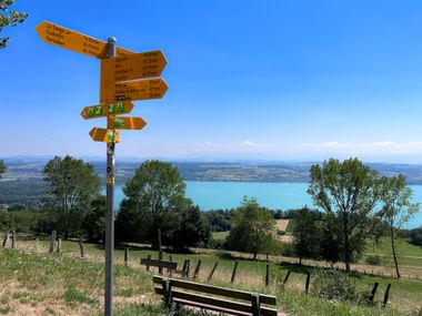 Gelber Wegweiser mit Blick auf den Murtensee