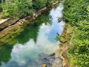 Der grüne Fluss Saane mit Felsen im Wasser