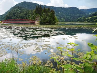 Eine rote Metallbrücke führt über einen See vor einer wünderschönen Berglandschaft aus Tannenwäldern.