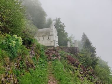 Eine weisse Kapelle umgeben von Wald in Slowenien.