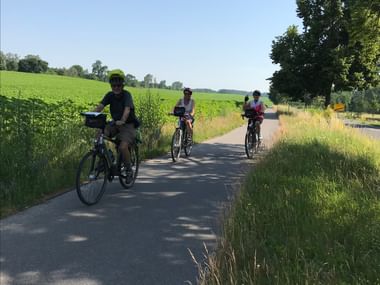 Drei Radfahrer auf einer asphaltierten Landstrasse in Mecklenburg mit grünen Feldern, Bäumen und blauem Himmel. Gelbes Strassenschild im Hintergrund.