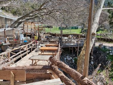 Holzterasse mit Tischen und Bänken, die in die Bäume hineingebaut wurde