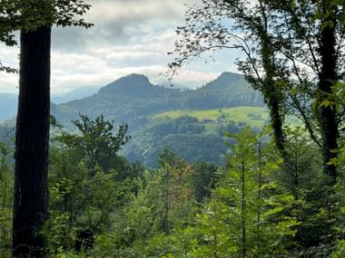 Diese Aussicht zeigt sich auf der zweiten Etappe in der Nähe von Delsberg.