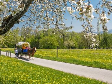 Eine Familie auf einer Planwagenfahrt an einem sonnigen Frühlingstag.