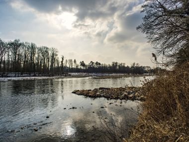Winterlandschaft der Aare bei Auenstein mit schneebedeckten Ufern, kahlen Bäumen und bewölktem Himmel, der sich im ruhigen Wasser spiegelt.