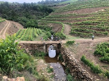 Steinbrücke über Bach in São Mamede mit Wanderern. Terrassierte Weinberge bedecken Hänge, Feldwege schlängeln sich durchs Tal.