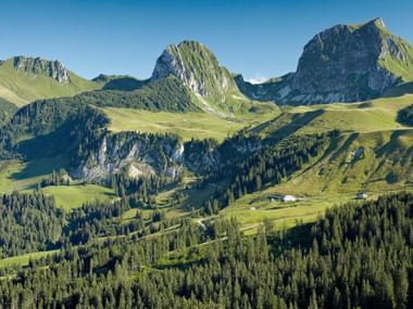 Bergpanorama im Naturpark Gantrisch Panoramablick auf den Naturpark Gantrisch mit markanten Kalksteingipfeln, grünen Almwiesen und dichten Nadelwäldern unter blauem Himmel.