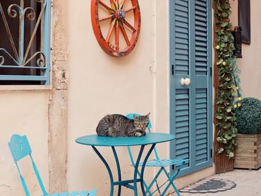 Eine Katze liegt gemütlich auf einem Tisch in den Gassen von Syrakus.
