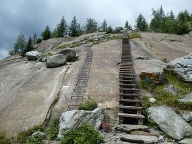 Steiler Aufstieg nach Bellwald. Holztreppe führt steilen Felsen am Aletsch Panoramaweg hinauf mit Metallgeländer, umgeben von Nadelbäumen und Felsbrocken.