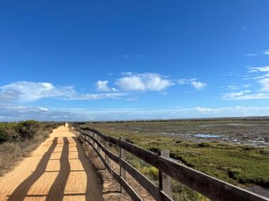 Holzsteg mit Geländer durch die Feuchtgebiete des Naturparks Ria Formosa unter blauem Himmel. Zwei Radfahrerschatten auf dem Weg.