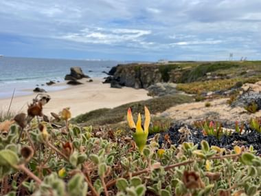 Wunderschöner Strand in Portugal.