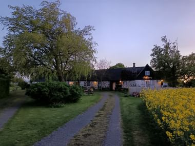 Schotterweg führt zu beleuchtetem Bauernhaus in der Dämmerung. Gelb blühende Sträucher säumen die rechte Seite, Bäume rahmen die Szene unter lila Abendhimmel.