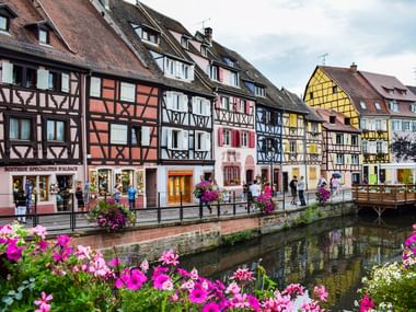 Reihe bunter Fachwerkhäuser entlang eines Kanals in Colmar, Frankreich. Rosa Blumen blühen im Vordergrund, Touristen gehen am Ufer entlang.