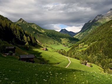 Schweizer Alpental mit grünen Wiesen Malerisches Schweizer Alpental mit saftigen grünen Wiesen, traditionellen Holzchalets, gewundenem Weg und bewaldeten Bergen unter bewölktem Himmel.