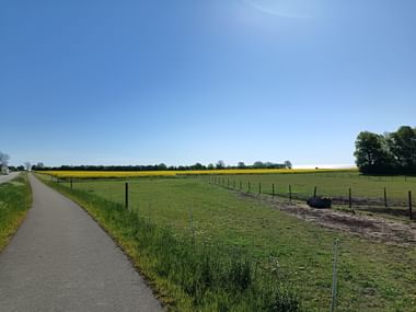 Asphaltierter Radweg entlang grüner Weiden und gelber Rapsfelder unter blauem Himmel in der schwedischen Landschaft bei Simrishamn.
