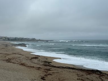 Sandstrand mit Seegras an der Atlantikküste bei Caminha. Raue Wellen unter bewölktem Himmel, Küstengebäude in der Ferne sichtbar.