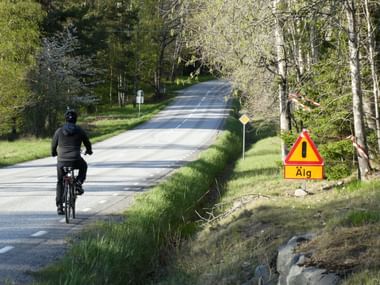 Ein Radfahrer in dunkler Kleidung fährt auf einer asphaltierten Strasse durch einen schwedischen Wald. Gelbes Warnschild mit 'Älg' am Strassenrand.