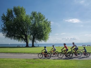 Familie mit fünf Radfahrern fährt entlang eines Uferwegs am Bodensee mit grünen Bäumen und blauem Wasser im Hintergrund.