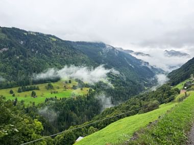 Grünes Alpental mit Nebel zwischen bewaldeten Bergen. Wiesen und vereinzelte Bäume auf den Hängen unter bewölktem Himmel.