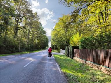Radfahrer in roter Jacke auf baumgesäumter Straße zwischen Yvoire und Genf. Holzzaun rechts sichtbar, üppiges grünes Laub darüber.