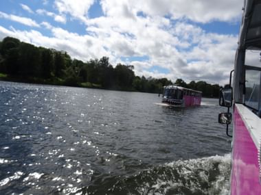 Blick von einem pinken Ausflugsboot auf einem Stockholmer Gewässer mit einem weiteren Boot voraus. Bewaldetes Ufer und blauer Himmel mit weißen Wolken.