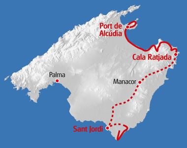 3D-Reliefkarte von Mallorca mit roter Wanderroute von Port de Alcúdia über Cala Ratjada nach Sant Jordi auf weißem Terrain vor blauem Meer.