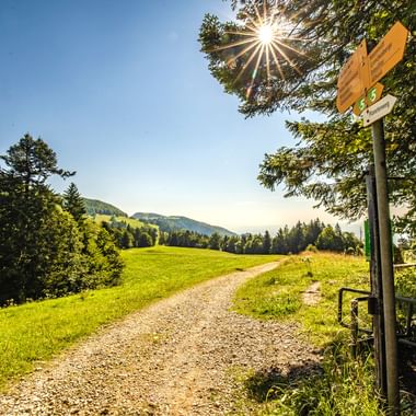 Wanderweg in Weissenstein