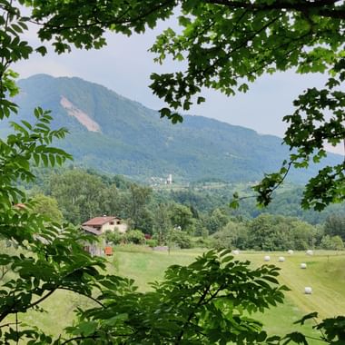 Durch Äste und Blätter von Bäumen Blick auf das Dorf Dreznica, Slowenien